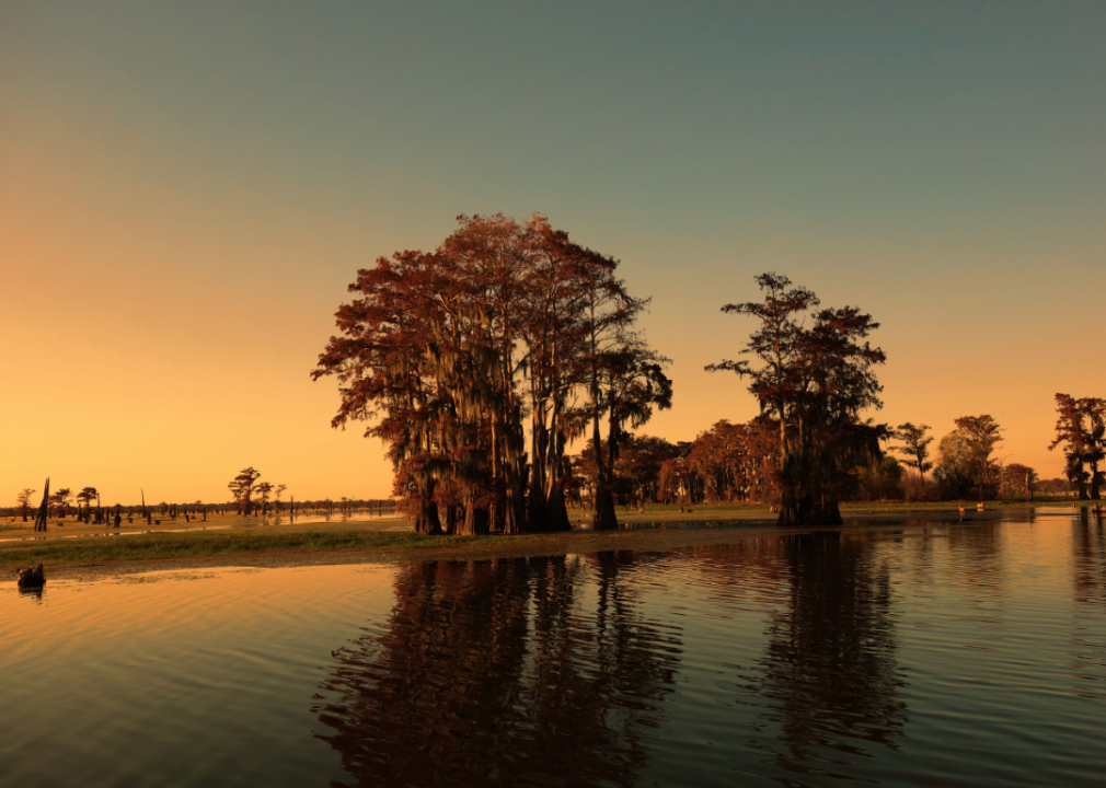 #38. Louisiana